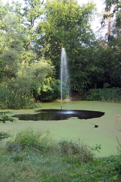 Alter Schlossweiher in Heusenstamm