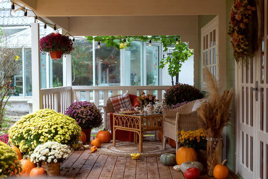 Cozy autumn porch with chrysanthemums, pumpkins and outdoor seating