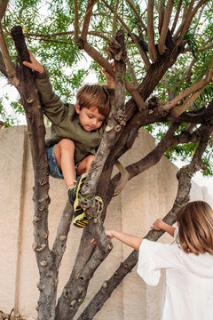 Boy Climbing Tree in Fall