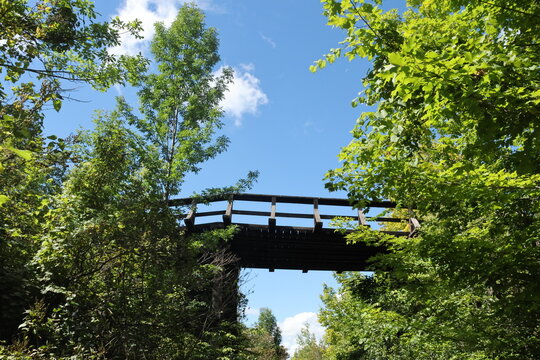 wooden bridge in the park