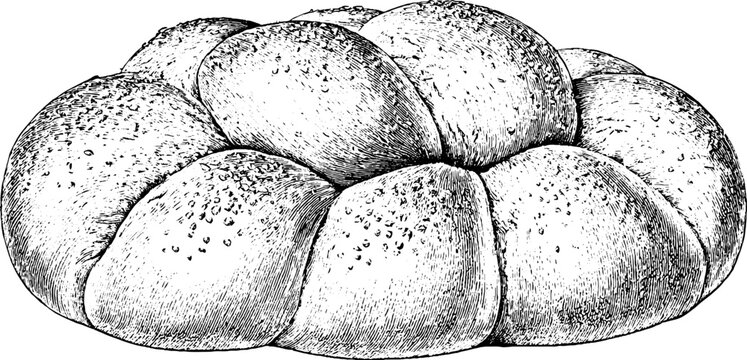 Antique engraved pan de muerto bread illustration isolated on white background for culinary vintage label and day of the dead holiday design
