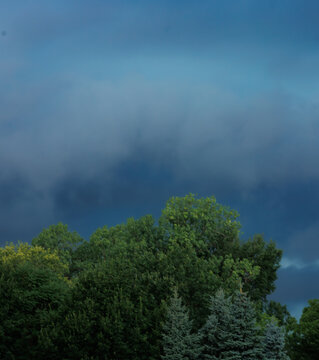 Dark blue ominous storm clouds loom over a lush summer tree canopy, creating a dramatic contrast between vibrant green foliage and an approaching severe weather system.

Top 10 keywords: