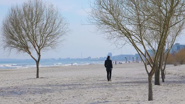 Person walking on a solitary winter beach. Solitary figure in a dark jacket walking away on a sandy beach during a cool, sunny day in winter, with bare trees framing the scene and a distant city