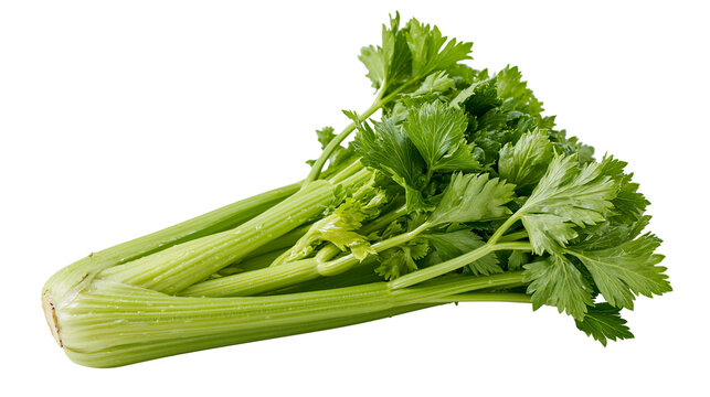 Isolated fresh green celery bunch with vibrant stalks and crisp leaves, healthy vegetable