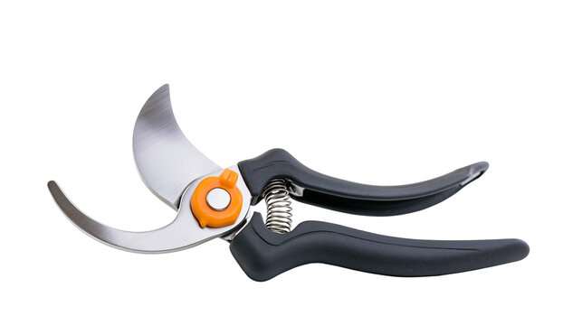 Isolated gardening pruner with curved blades and orange lock mechanism, essential garden tool