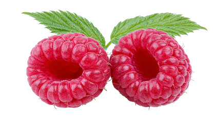 Isolated fresh juicy red raspberries with vibrant green leaves, healthy sweet summer fruit © Conor