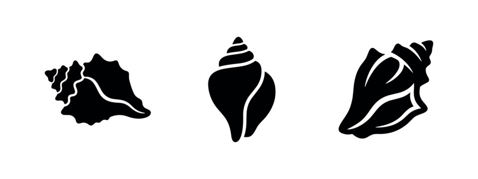 Sea shell conch spiral silhouette icons