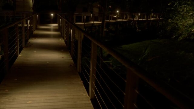 Camera moves slowly forward along an illuminated wooden boardwalk through dark tropical jungle, with small lights guiding the path at night.