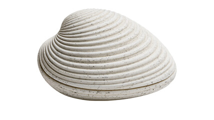 Isolated natural clam shell with beautiful ribbed texture and subtle details, ideal for beach designs © Saoirse