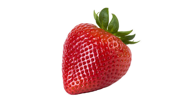 Isolated fresh ripe red strawberry with green leaves and stem, sweet and juicy summer fruit