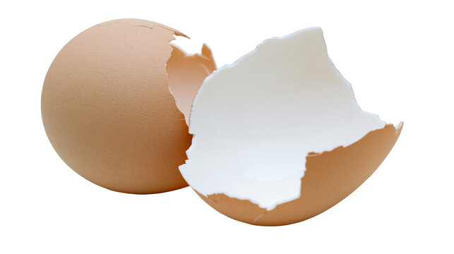 Isolated cracked brown eggshell pieces showcasing its delicate structure and white interior