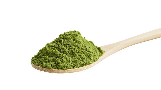 Isolated wooden spoon full of vibrant green healthy superfood powder for dietary supplements.
