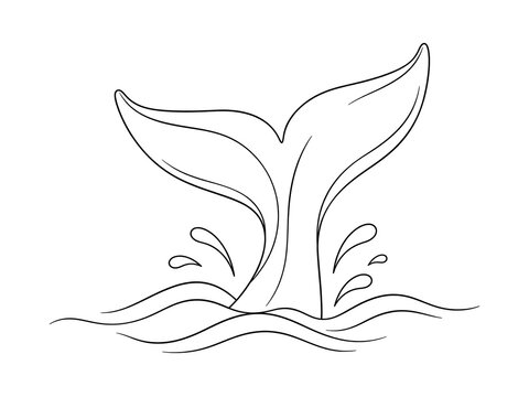 Whale Tail Breaking Surface Water Splashes Artistic Line Drawing transparent background