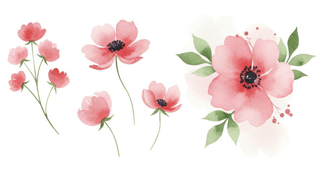 Watercolor pink flowers with green leaves arrangement