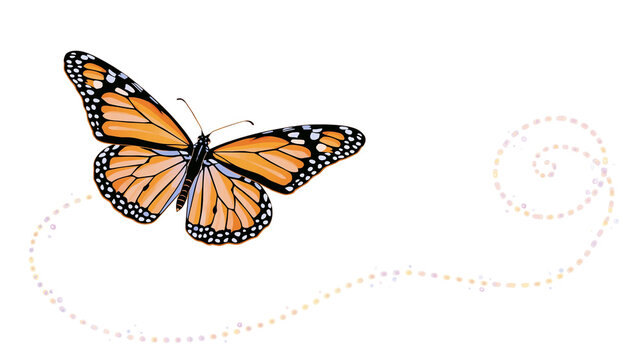 Isolated monarch butterfly gracefully flying and leaving a delicate sparkling dotted spiral trail