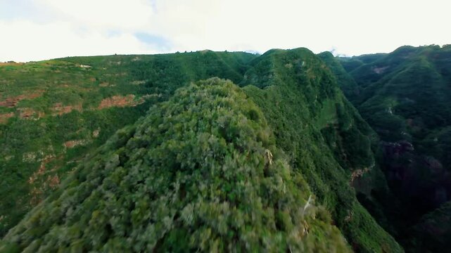 Dynamic FPV Drone Flight Over a Sharp Lush Green Mountain Ridge