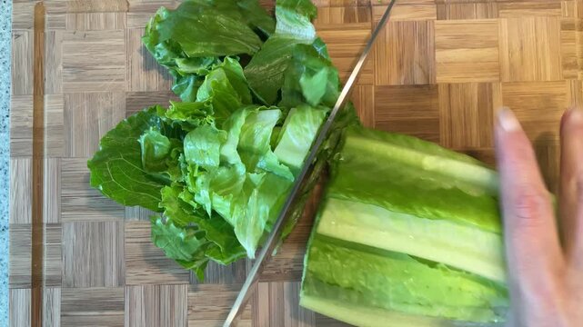 Chef hands chopping fresh green romaine lettuce on wooden board and fluffing salad greens