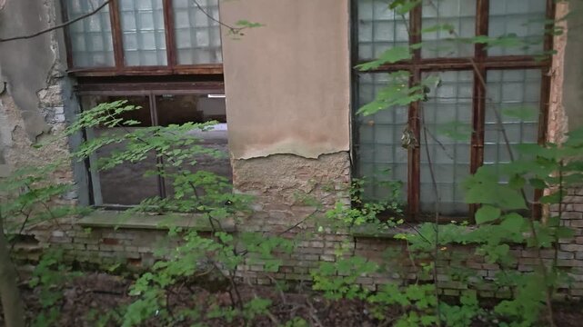 Abandoned industrial building overtaken by vegetation during urbex exploration