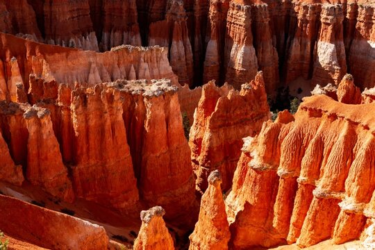 Red rock formations and hoodoos in a desert canyon landscape