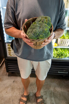 Solomons, Maryland USA A man at a farm stand hold a bushel of broccoli.