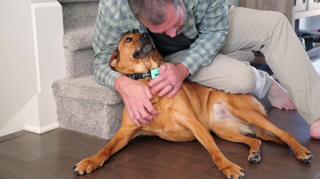 Middle-aged man bonding, hugging, and petting his rescue dog at home, showing genuine pet companionship, affection, and everyday domestic life