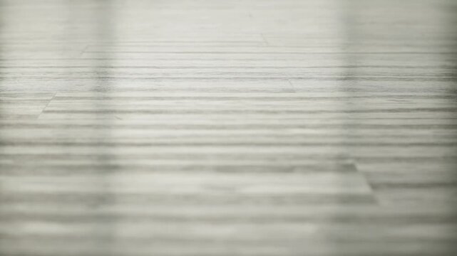 Daily household cleaning, mopping the floor with a mop as part of a routine
