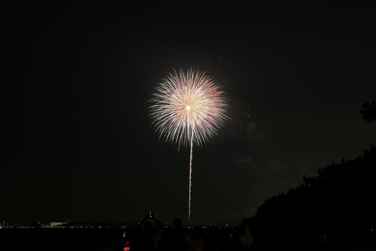 Multiple fireworks exploding low near horizon