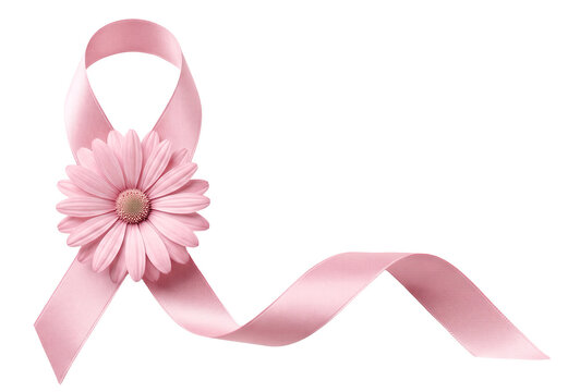 La&ccedil;o rosa com flor