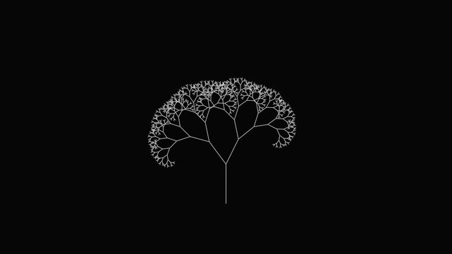 Abstract White Fractal Tree Structure On Black Background Minimalist Geometric Branching Pattern Illustration