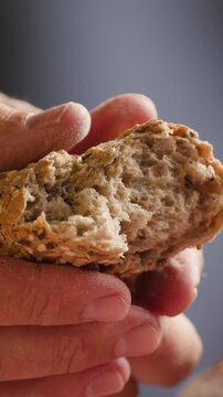 Bread assortment, mixed Spanish baguette loaves from Barcelona bakery, close-up macro shot showing crumb texture