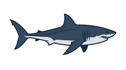 Obraz premium Minimalist Vector Illustration of a Great White Shark