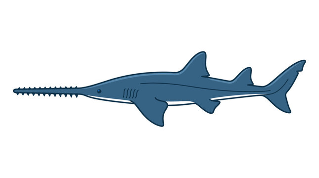 Illustration of a Sawfish Isolated on White Background