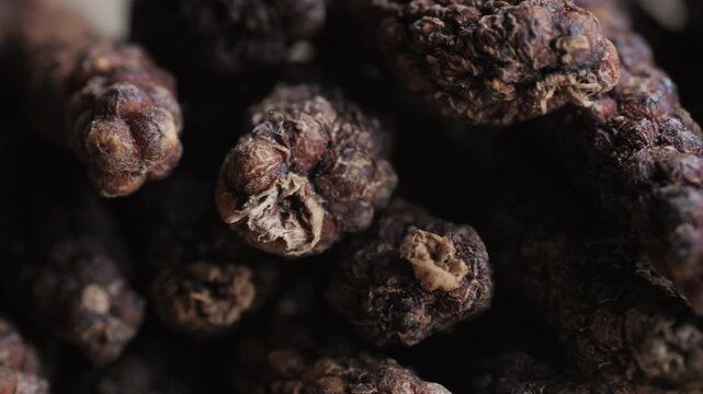 Indonesian long black peppercorns, close up of spices, dry hot pepper. 
