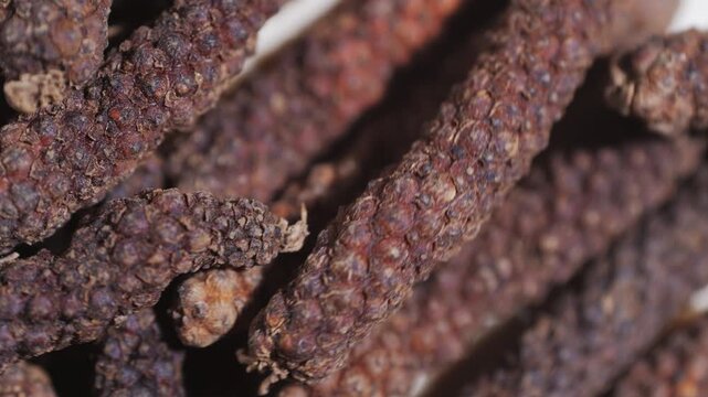 Indonesian long black peppercorns, close up of spices, dry hot pepper. 