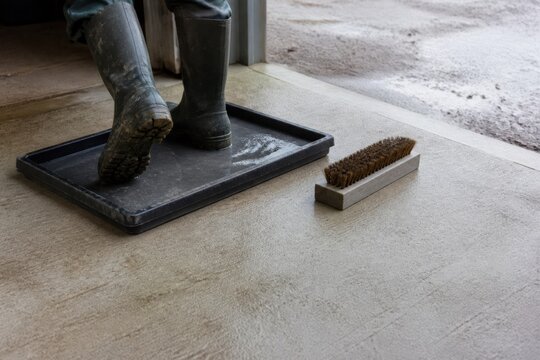 Veterinary Antimicrobial Stewardship - farm boot cleaning detail for biosecurity