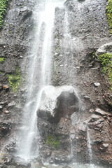 waterfall in the forest © fajri