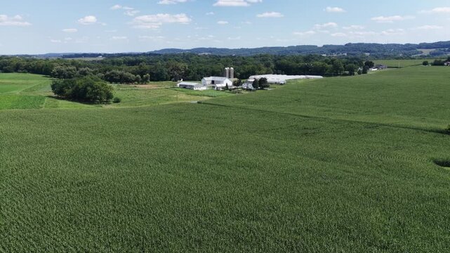 Dense soybean field stretches toward twin grain silos and white barn on rolling Pennsylvania farmland, wooded hills rise beneath scattered clouds and clear summer sky. Aerial drone rising shot