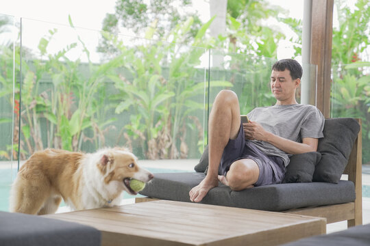 man, dog, smartphone, outdoor, patio, lifestyle, border collie relaxing on a terrace with his pet while using mobile phone for work or social media in a lush tropical garden.