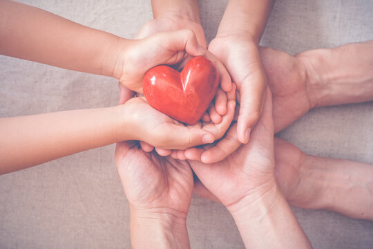 heart, hands, family, love, charity, support, unity concept showing adult and children's hands holding a red heart together as a symbol of protection, healthcare, and care.