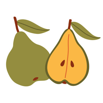 Whole green pear and sliced half pear vector isolated on white. Ideal for autumn fruit harvest graphics, healthy food recipes, organic farm market logos, and seasonal autumn food designs