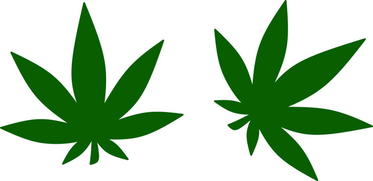 green cannabis leaf icons isolated on white background. Flat vector illustration of marijuana leaves for medical, herbal, or dispensary graphic design.