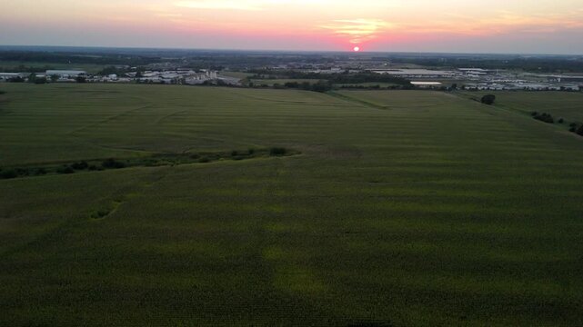 Aerial drone view vast Midwestern cornfield at sunset bordering suburban residential development and industrial infrastructure in Kansas