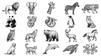 Obraz premium Vintage hand-drawn animal illustrations, set of 20 engraved wildlife icons, black and white sketch collection of zoo and forest creatures