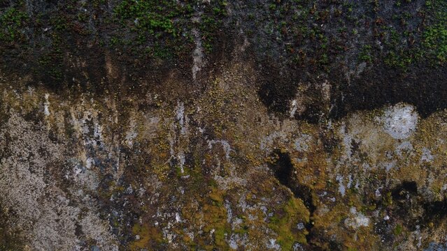 Distressed concrete wall texture with grime and weathered patterns concrete distressed weathered background material industrial battered architectural exterior composition wallpaper