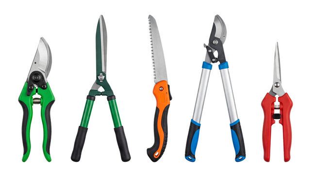 Professional garden pruning tools set including secateurs hedge shears folding saw and tree branch loppers isolated on white background