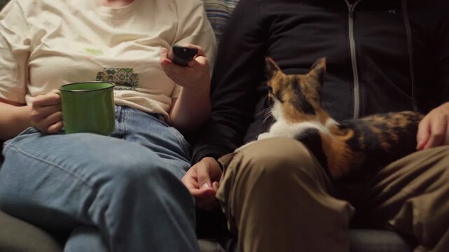 Couple with calico cat on laps watching streaming movie on sofa at home