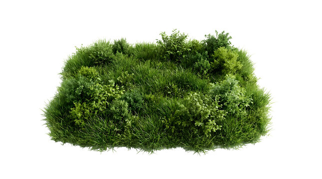 Lush green grass patch featuring vibrant blades and small detailed shrubs for landscaping design projects, rendered with high quality textures and depth on transparent background