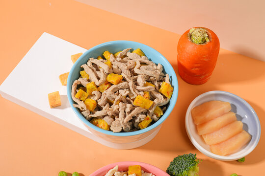 Healthy Homemade Pet Food Bowl with Meat and Vegetables