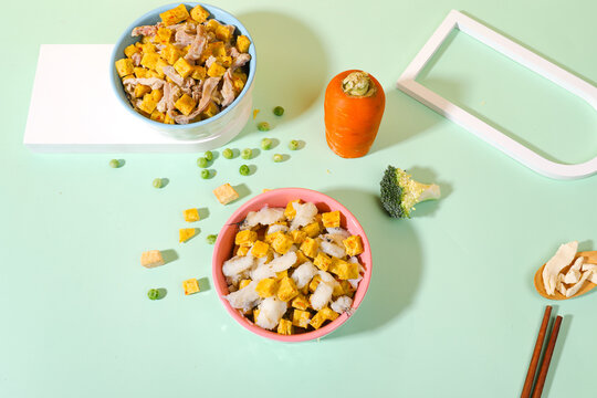 Healthy Homemade Pet Food Bowls with Meat and Vegetables