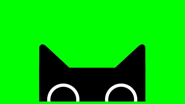 Cute animated black cat face peeking on green screen background